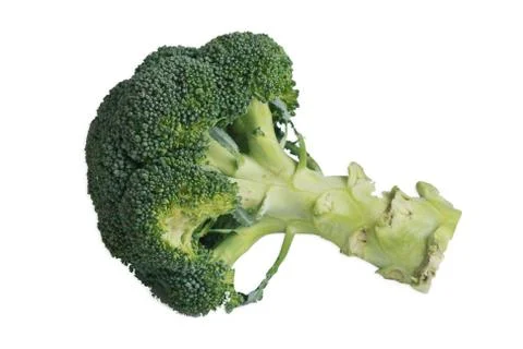 Fresh Broccoli on white background Foto stock