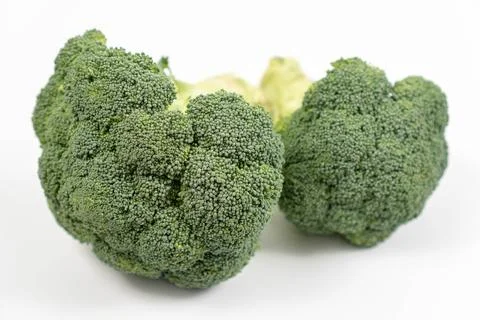 Fresh Broccoli on the white background 库存照片