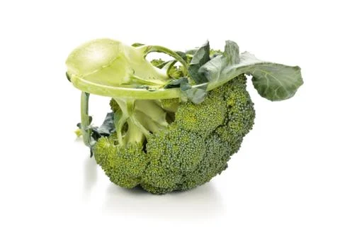 Fresh broccoli on white. Stock Photos