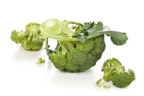 Fresh broccoli on white. Stock Photos