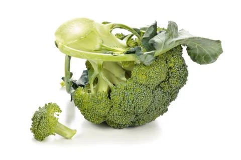 Fresh broccoli on white. Stock Photos