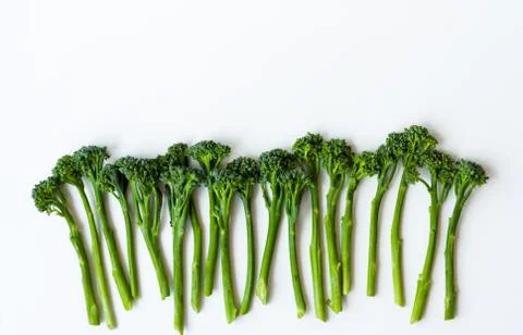 Fresh broccolini isolated on white background with copy space. Foto stock