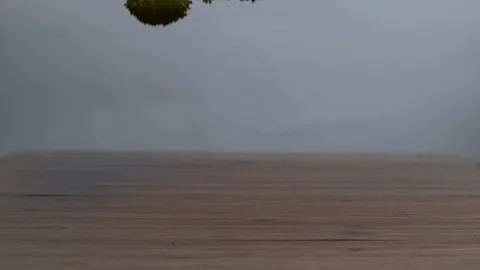 Fresh Broccolis falling on chopping board in slow motion Stock Footage 100007082