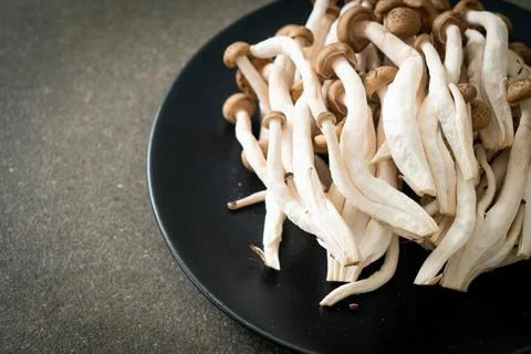 Fresh brown beech mushroom or black reishi mushroom Stock Photos