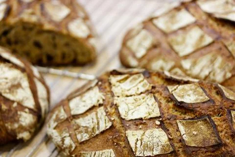 Fresh brown bread Stock Photos