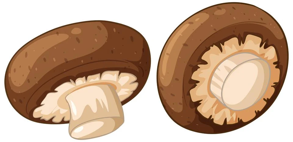 Fresh Brown Button Mushrooms Vector Illustration Isolated on White Stock Illustration