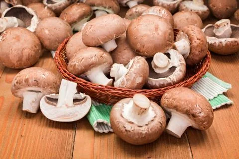 Fresh brown champignons Stock Photos
