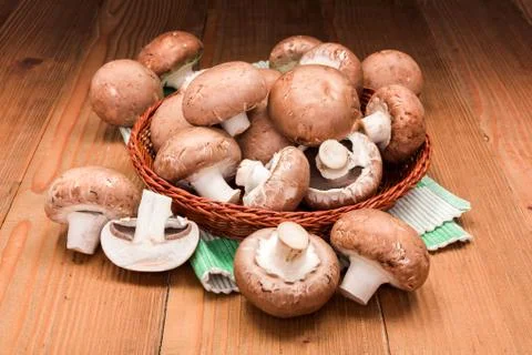 Fresh brown champignons Stock Photos