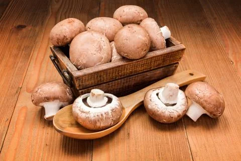 Fresh brown champignons Stock Photos