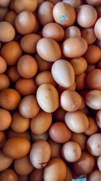 Fresh brown chicken eggs create a natural rustic food background in a verti.. Stock Photos