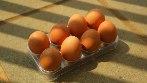 Fresh brown chicken eggs in a plastic tray under natural light Stock Photos