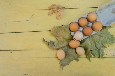 Fresh brown eggs in egg box on rustic wooden table with leaves. Copy space, e Stock Photos