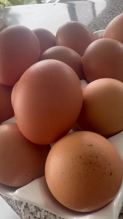 Fresh Brown Eggs Stock Footage 309898949