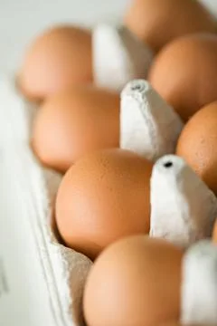 Fresh brown eggs Stock-Fotos