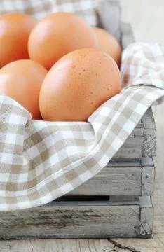 Fresh brown eggs Stock Photos
