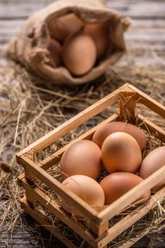 Fresh brown eggs Stock Photos
