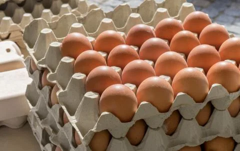 Fresh, brown eggs Stock Photos