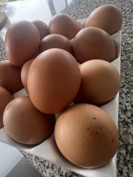 Fresh Brown Eggs Stock Photos