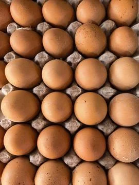Fresh Brown Eggs in Tray Background Foto stock