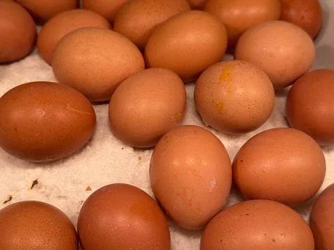 Fresh brown eggs on white surface concept of healthy eating and natural food Stock Photos
