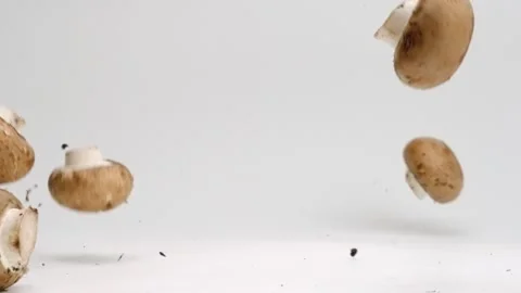 Fresh brown mushrooms falling down on white background in slow motion. Stock Footage 337167533