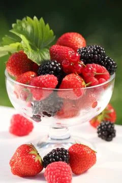 Fresh bruits Stock Photos