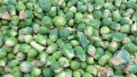 Fresh brussels sprouts falling in a pile, a vegetable food background Vídeo Stock 343326868