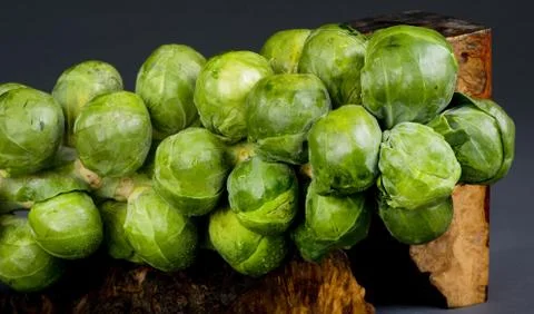 Fresh Brussels Sprouts. Stock Photos