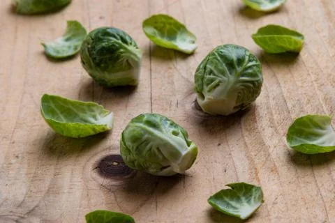 Fresh brussels sprouts Stock Photos
