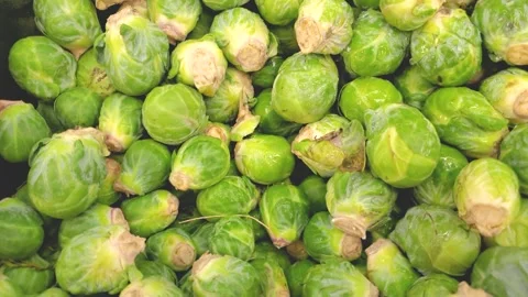 Fresh Brussels Sprouts Pile Close Up Raw Green Vegetables Heap Stock Footage 341378962