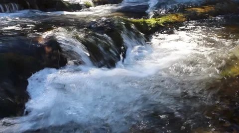 Fresh bubbling mountain river in sunlight Stock Footage 40024408