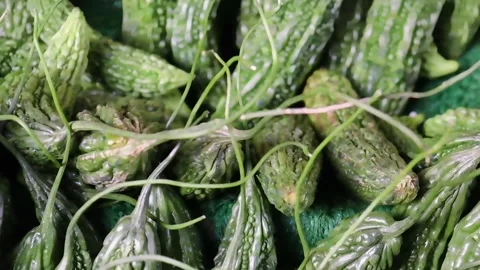 Fresh bumpy bitter gourds against dark backdrop Stock Footage 338168973