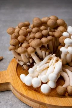 Fresh buna brown and bunapi white shimeji edible mushrooms from Asia, rich in Stock Photos