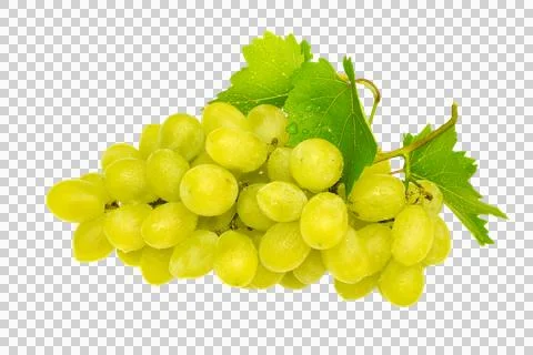 Fresh bunch of grapes Stock Photos