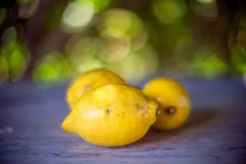 Fresh Bunch of Lemons in Natural Setting Stock Photos