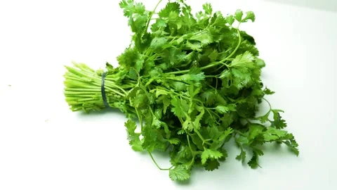 Fresh Bundle of Cilantro on White Surface Footage, A fresh bundle of cilant.. Stock Footage 305039746