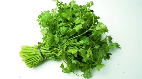 Fresh Bundle of Cilantro on White Surface Footage, A fresh bundle of cilant.. Stockbeeldmateriaal 305039862