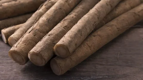Fresh Burdock Roots Stacked With Earthy Brown Texture Stock Footage 336896287