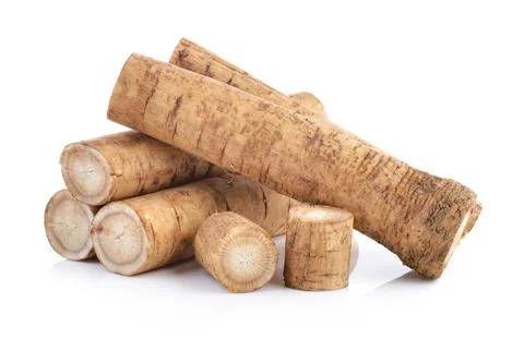 Fresh Burdock roots on white background Stock Photos