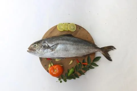 Fresh Butter Fish/Amberjack Fish/Allied kingfish (Seriola Dumerilli) Decorate Stock Photos