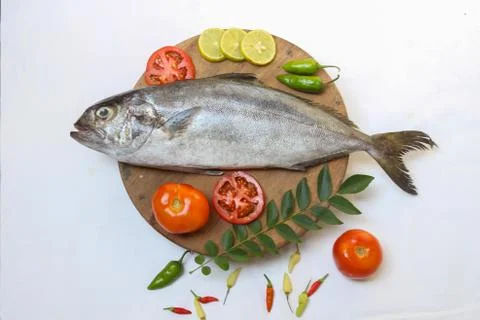 Fresh Butter Fish/Amberjack Fish/Allied kingfish (Seriola Dumerilli) Decorate Stock Photos