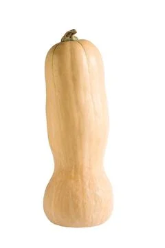 Fresh butternut squash isolated on a white background Stock Photos