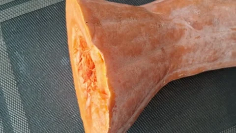 Fresh butternut squash vegetable cut in half showing seeds video motion Stock Footage 337198681