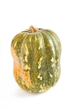 Fresh butternut squash on white background about squash, pumpkin, butternut.. Stock Photos