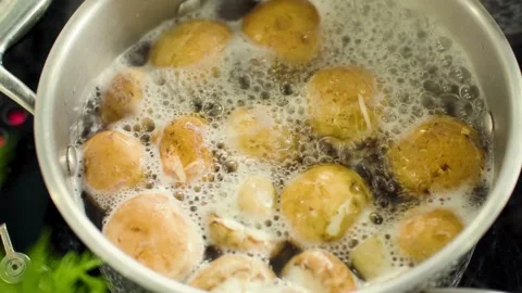 Fresh button mushrooms boiling in pot on the stove Stock Footage 333875431