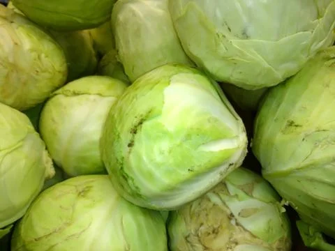 Fresh cabbage close-up Stock Photos