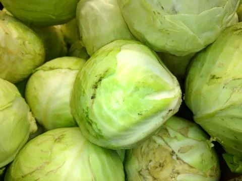Fresh cabbage close-up Stock Photos