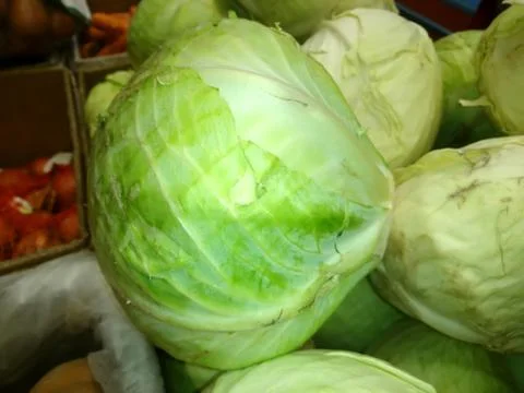 Fresh cabbage close-up Foto stock