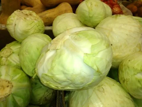 Fresh cabbage close-up Stock Photos