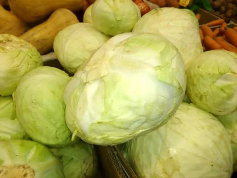 Fresh cabbage close-up Stock Photos